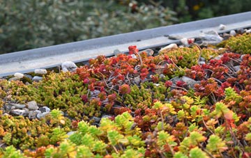 the cost of Swanscombe green roof installation