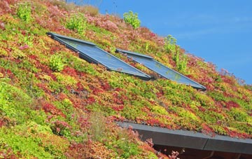 Swanscombe living roof systems